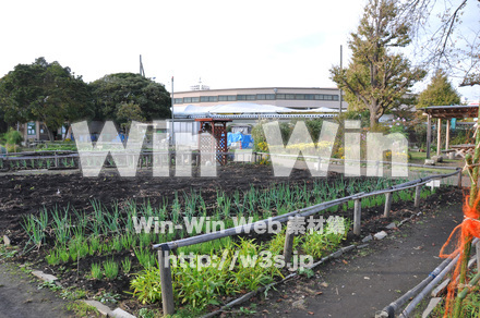 はぐくみの里の写真素材 W-002695