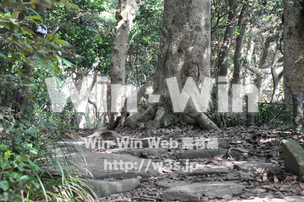 雄島の写真素材 W-002418