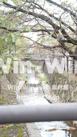 二ヶ領用水の写真素材 W-002799