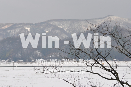 雪景色の写真素材 W-002594