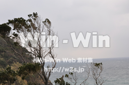 冬の日本海の写真素材 W-002646