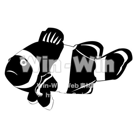 クマノミのシルエット素材 W-002252