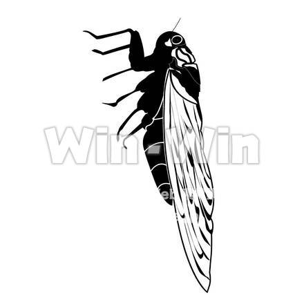 せみのシルエット素材 W-002945