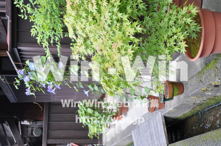 飛騨高山の写真素材 W-002355