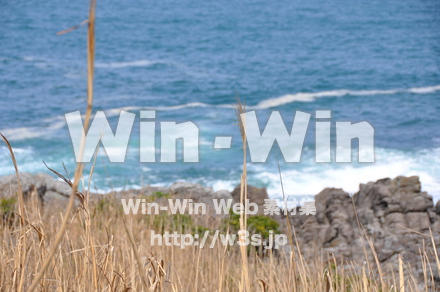 雄島の写真素材 W-002439