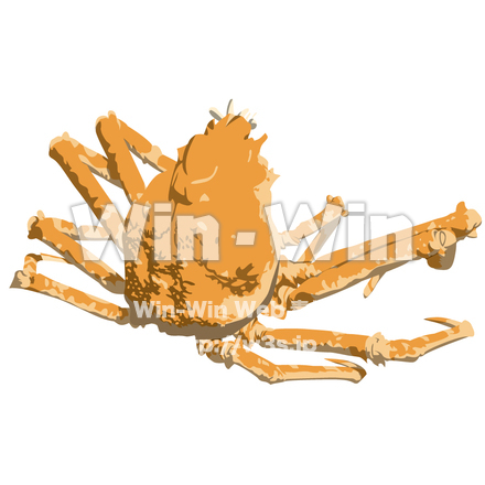 カニのCG・イラスト素材 W-003608