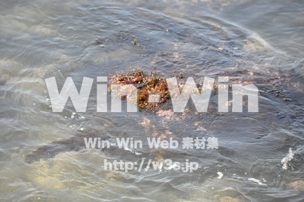 雄島の写真素材 W-002407