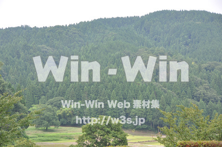 一乗谷朝倉氏遺跡の写真素材 W-002269