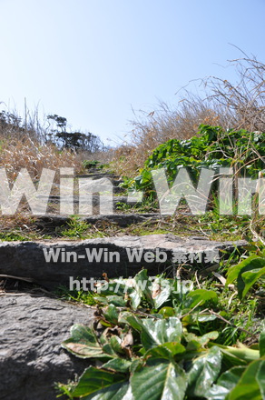 雄島の写真素材 W-002430