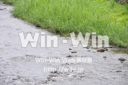 一乗谷朝倉氏遺跡の写真素材 W-002256