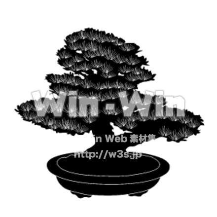 松の盆栽のシルエット素材 W-002967