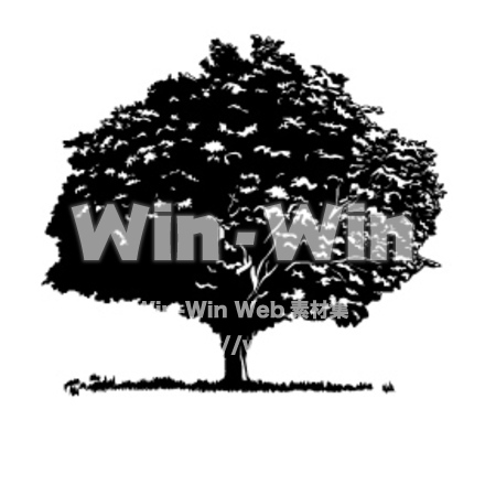 大きな木のシルエット素材 W-003114