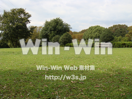 王禅寺ふるさと公園20の写真素材 W-002707