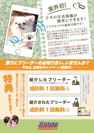 新しい広告・資料 D-002966 のチラシ