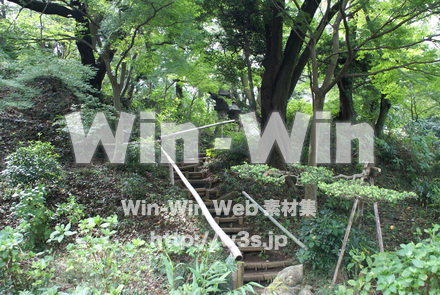 浄慶寺19の写真素材 W-002513