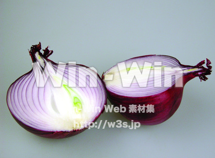 レッドアーリー　５の写真素材 W-002174