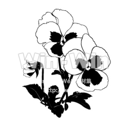 パンジーのシルエット素材 W-003101
