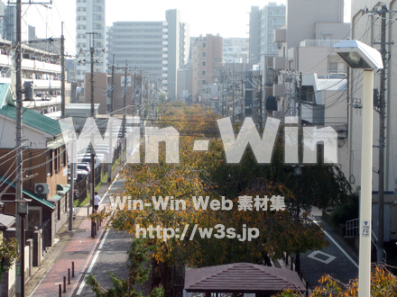 二ヶ領用水（高津区）の写真素材 W-004940