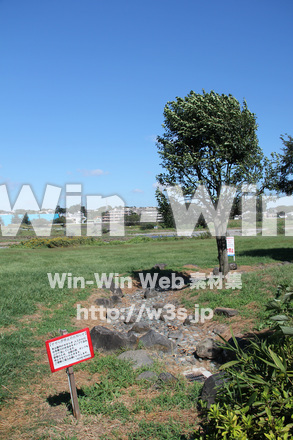 せせらぎ公園-川崎市の写真素材 W-004416