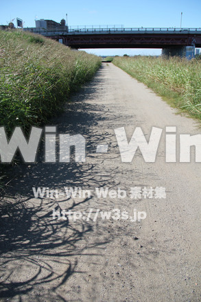 せせらぎ公園沿いの道-川崎市の写真素材 W-004429