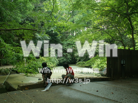 生田緑地の写真素材 W-004833