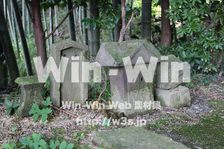 琴平神社_稲荷社２の写真素材 W-004818