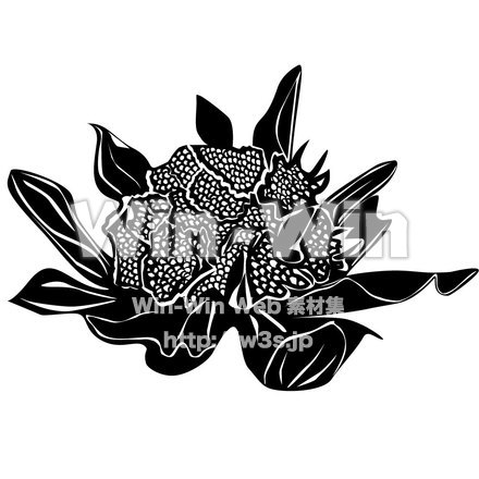 ふきのとうのシルエット素材 W-004172