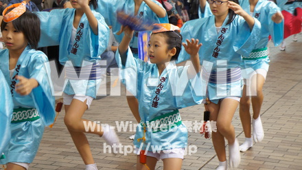 川崎阿波踊りの写真素材 W-005385