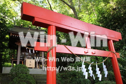 琴平神社_稲荷社_入口の写真素材 W-004815