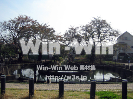 二ヶ領用水（高津区）の写真素材 W-004930