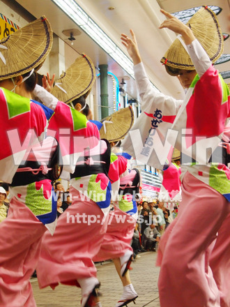 川崎阿波踊りの写真素材 W-005292