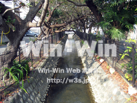 二ヶ領用水（高津区）の写真素材 W-004920