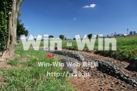 せせらぎ公園-川崎市の写真素材 W-004465