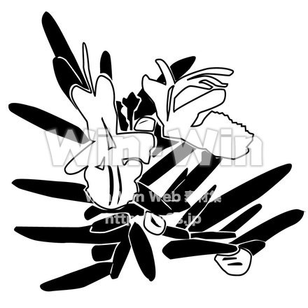 ローズマリーのシルエット素材 W-004162