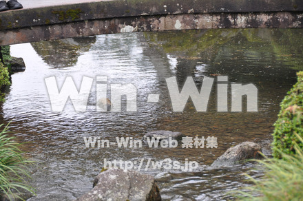 金沢の写真素材 W-005264