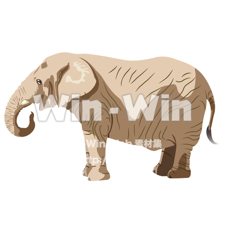 ゾウのCG・イラスト素材 W-005140