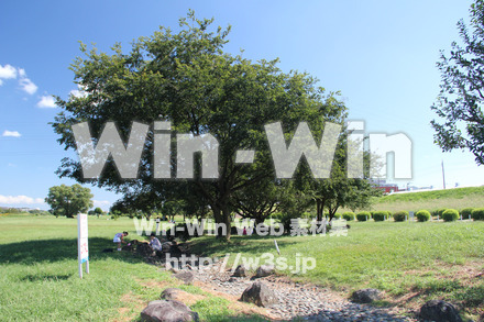 せせらぎ公園-川崎市の写真素材 W-004504