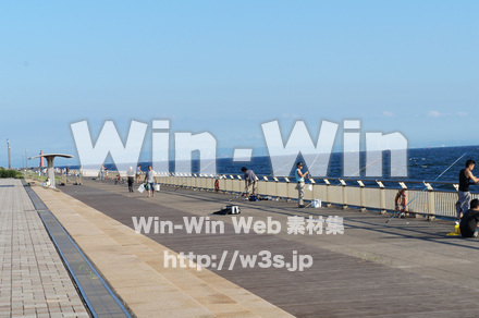 東扇島西公園の写真素材 W-004207