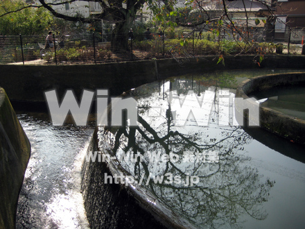 二ヶ領用水（高津区）の写真素材 W-004936