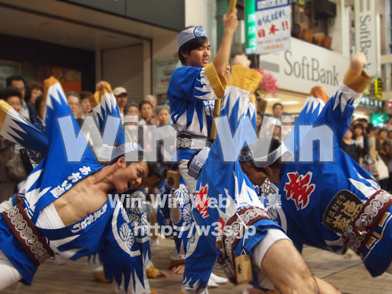 川崎阿波踊りの写真素材 W-005297