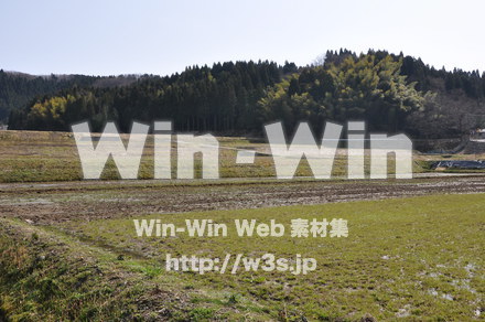 福井県内の写真素材 W-005365