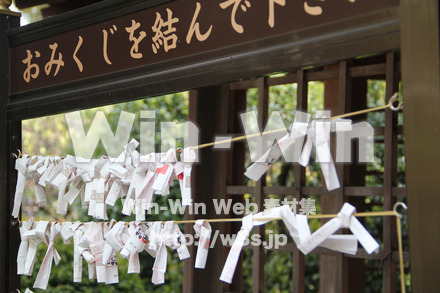 琴平神社_おみくじ２の写真素材 W-004819