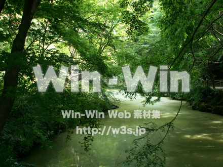 生田緑地の写真素材 W-004834