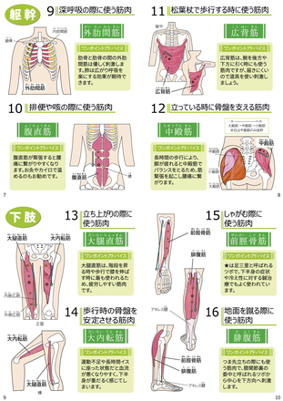 セルフケアマッサージ冊子　8～11P D-005859 の冊子・カタログ