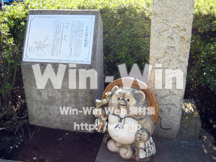 大山街道の写真素材 W-005759