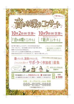 コンサート参加者募集のチラシ D-004335 のチラシ