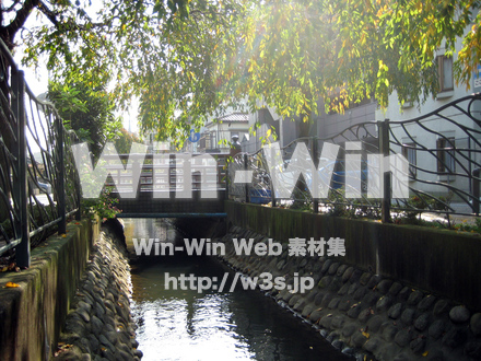 二ヶ領用水（高津区）の写真素材 W-004911