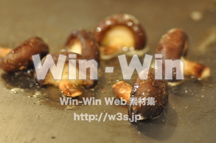 お好み焼きTOMOTOMOの写真素材 W-004365