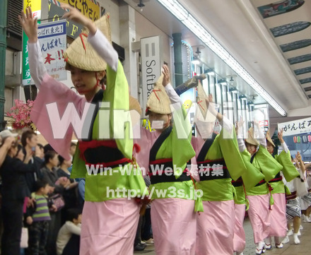 川崎阿波踊りの写真素材 W-005301