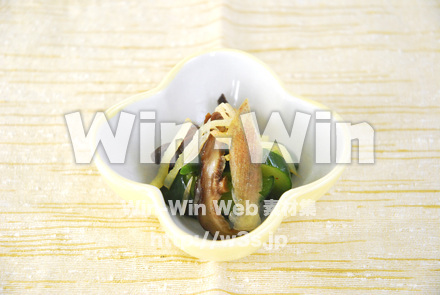 きゅうりとみょうがの酢の物の写真素材 W-004530